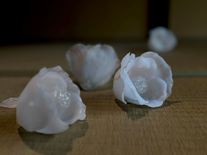 小曽川瑠那作品